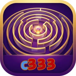 c333